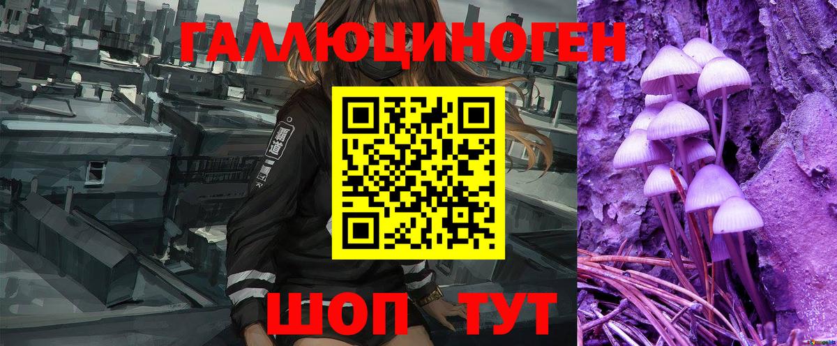 Томск  Псилоцибиновые грибы Magic Shrooms  Вход с VPN 